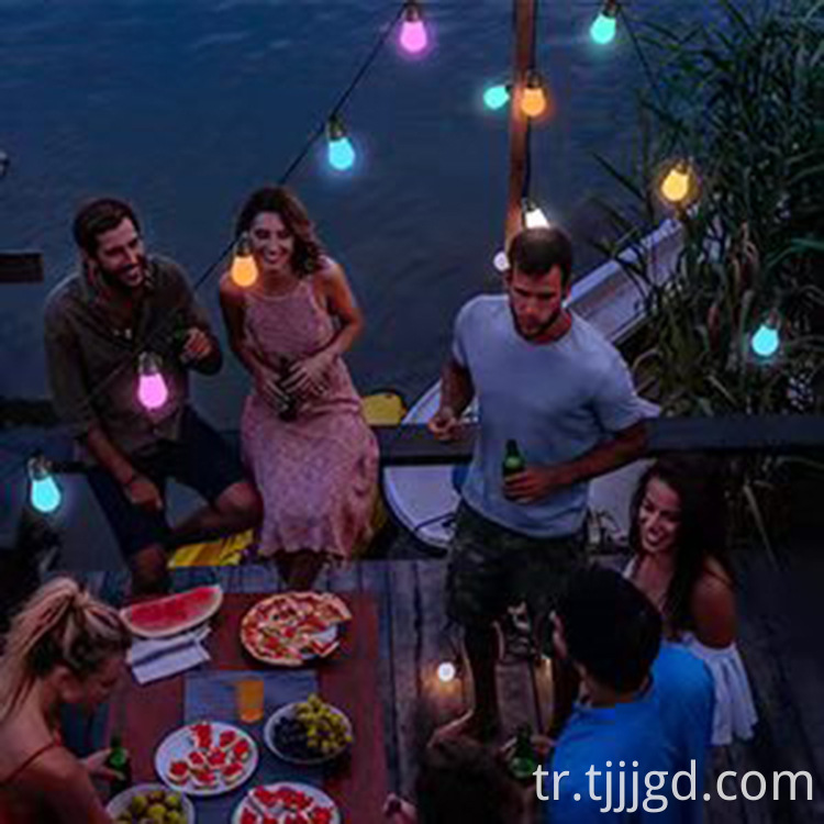 Running Bulb String Lights